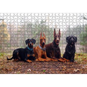 Sonbahar Yaprakları Üzerindeki 4 Köpek Puzzle Yapboz Mdf Ahşap 500 Parça