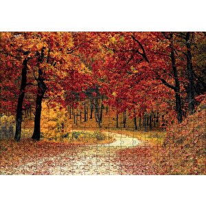 Sonbaharda Orman Görseli Puzzle Yapboz Mdf Ahşap 255 Parça