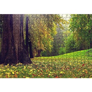 Orman Ve Çimler Doğa Puzzle Yapboz Mdf Ahşap 500 Parça