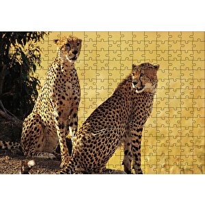 Çift Leopar Puzzle Yapboz Mdf Ahşap 255 Parça