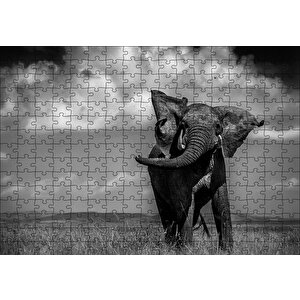Asya Fili Puzzle Yapboz Mdf Ahşap 255 Parça