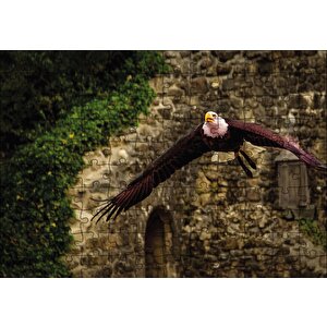 Havada Süzülen Kartal Puzzle Yapboz Mdf Ahşap 120 Parça