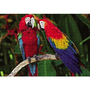 Amazon Papaganı Puzzle Yapboz Mdf Ahşap 500 Parça