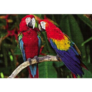 Amazon Papaganı Puzzle Yapboz Mdf Ahşap 255 Parça
