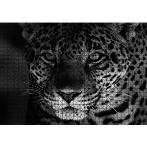 Siyah Beyaz Jaguar Puzzle Yapboz Mdf Ahşap 1000 Parça