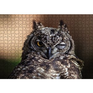 Komik Baykuş Puzzle Yapboz Mdf Ahşap 500 Parça