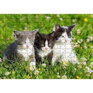 Çayırda Üç Yavru Kedi Puzzle Yapboz Mdf Ahşap 255 Parça