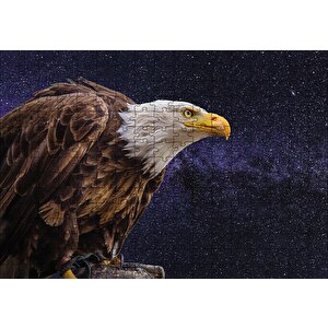 Kel Kartal Puzzle Yapboz Mdf Ahşap 255 Parça