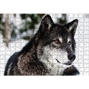 Karda Bozkurt Puzzle Yapboz Mdf Ahşap 255 Parça