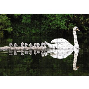 Kuğu Ve Yavrular Puzzle Yapboz Mdf Ahşap 255 Parça