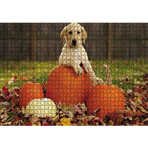 Köpek Kabaklar Puzzle Yapboz Mdf Ahşap 1000 Parça