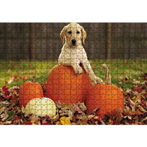 Köpek Kabaklar Puzzle Yapboz Mdf Ahşap 500 Parça