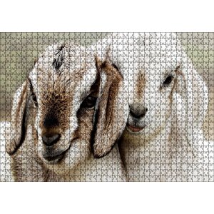 Keçi Yvruları Görseli Puzzle Yapboz Mdf Ahşap 1000 Parça