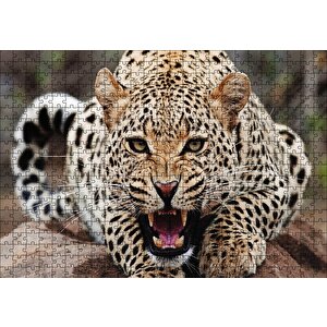 Kükreyen Jaguar Puzzle Yapboz Mdf Ahşap 500 Parça