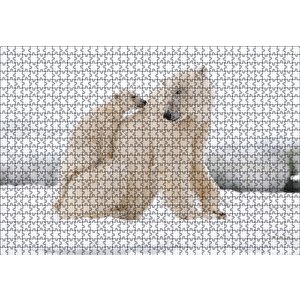 Beyaz Ayı Ailesi Kutup Puzzle Yapboz Mdf Ahşap 1000 Parça