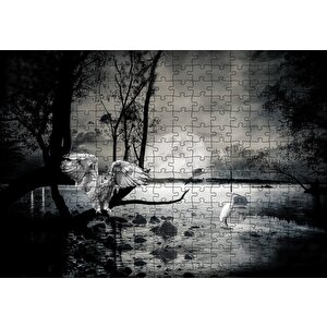 Cakapuzzle  Gecede Balıkçı Kuşları Göl Puzzle Yapboz Mdf Ahşap