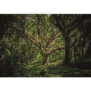 Tropik Orman Puzzle Yapboz Mdf Ahşap 1000 Parça