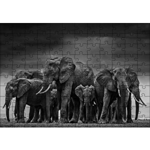 Filler Ailesi Puzzle Yapboz Mdf Ahşap 120 Parça