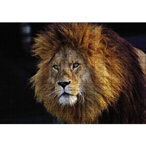 Aslan Kral Puzzle Yapboz Mdf Ahşap 255 Parça