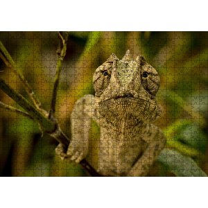 Dalda Boz Renkli Bukalemun Puzzle Yapboz Mdf Ahşap 500 Parça