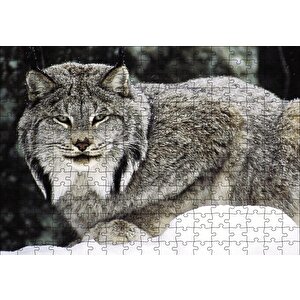Doğada Kanada Vaşağı Puzzle Yapboz Mdf Ahşap 255 Parça