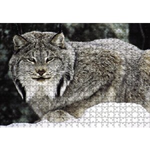 Doğada Kanada Vaşağı Puzzle Yapboz Mdf Ahşap 500 Parça