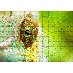 Bukalemun Gözü Yakın Çekim Flu Arka Plan Puzzle Yapboz Mdf Ahşap 120 Parça