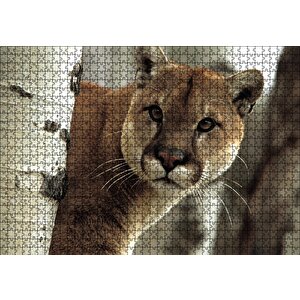 Doğadaki Puma Puzzle Yapboz Mdf Ahşap 1000 Parça