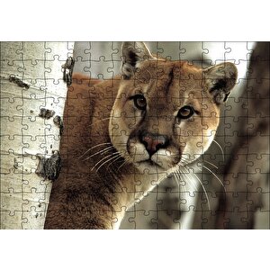 Doğadaki Puma Puzzle Yapboz Mdf Ahşap 120 Parça