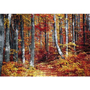 Cakapuzzle  Sonbaharda Orman Puzzle Yapboz Mdf Ahşap