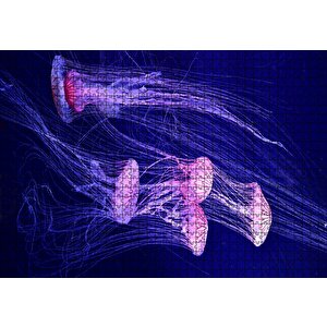 Derin Denizlerdeki Denizanaları Puzzle Yapboz Mdf Ahşap 1000 Parça