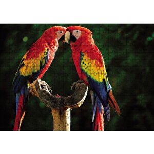 Aşık Papaganlar Puzzle Yapboz Mdf Ahşap 255 Parça