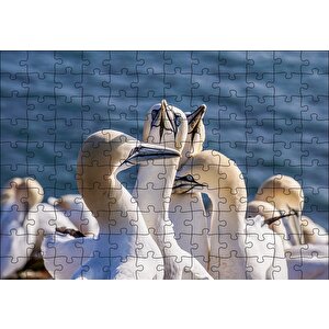 Deniz Ve Sümsük Kuşları Puzzle Yapboz Mdf Ahşap 120 Parça
