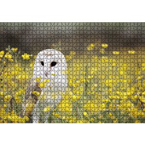 Doğada Peçeli Baykuş Puzzle Yapboz Mdf Ahşap 1000 Parça