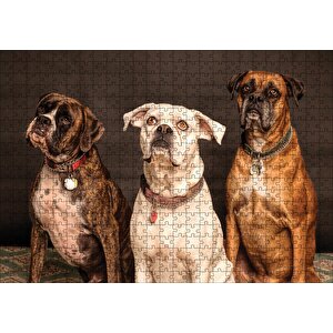 3 Sevimli Boxer Puzzle Yapboz Mdf Ahşap 500 Parça