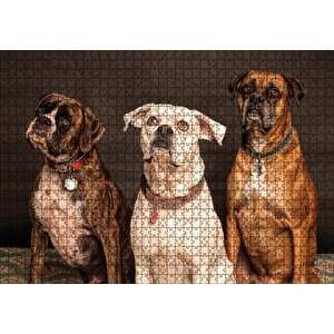3 Sevimli Boxer Puzzle Yapboz Mdf Ahşap 1000 Parça
