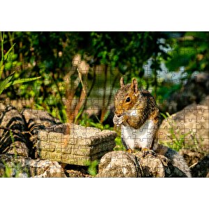 Cakapuzzle  Taşların Üzerindeki Sevimli Küçük Sincap Puzzle Yapboz Mdf Ahşap