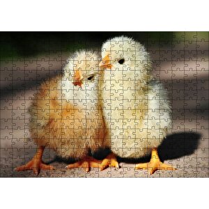 Sevimli İki Civciv Puzzle Yapboz Mdf Ahşap 255 Parça