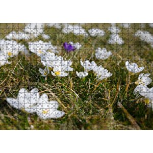 Çayırda Beyaz Çiğdem Çiçekleri Puzzle Yapboz Mdf Ahşap 500 Parça