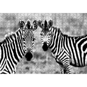 İki Sevimli Zebra Görseli Puzzle Yapboz Mdf Ahşap 500 Parça