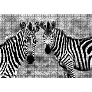 İki Sevimli Zebra Görseli Puzzle Yapboz Mdf Ahşap 1000 Parça