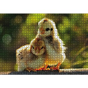 Sevimli Civcivler Puzzle Yapboz Mdf Ahşap 1000 Parça