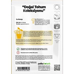 5 Adet Su - Et Kabağı (lagenaria Siceraria) Tohumu