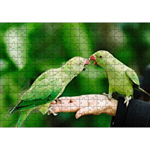 El Üzerinde Bir Çift Sevda Papağanı Puzzle Yapboz Mdf Ahşap 255 Parça