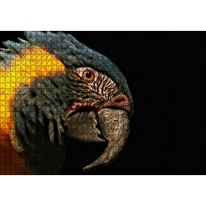 Sarı Siyah Papağan Siyah Arka Plan Puzzle Yapboz Mdf Ahşap 1000 Parça