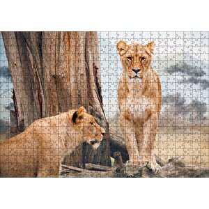Afrika Savanında Dişi Aslan Görseli Puzzle Yapboz Mdf Ahşap 500 Parça