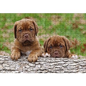Meksika Yavru Köpekler Görseli Puzzle Yapboz Mdf Ahşap 255 Parça