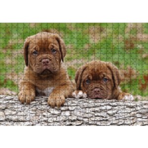 Meksika Yavru Köpekler Görseli Puzzle Yapboz Mdf Ahşap 500 Parça