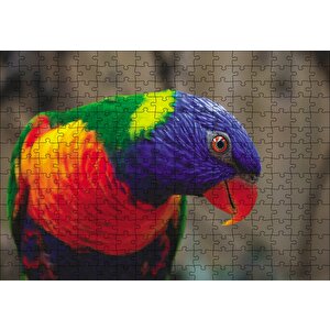 Swainson Papağanı Yakın Çekim Puzzle Yapboz Mdf Ahşap 255 Parça