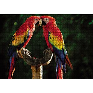 Aşık Papaganlar Puzzle Yapboz Mdf Ahşap 1000 Parça